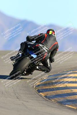 media/Jan-09-2022-SoCal Trackdays (Sun) [[2b1fec8404]]/Turn 12 Backside (130pm)/